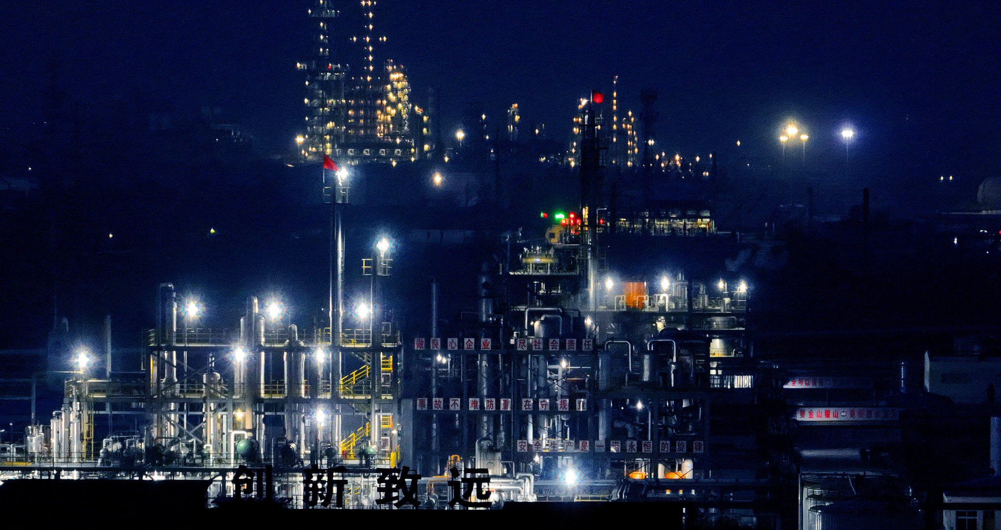 嫩叶草满18点此进